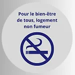 Prázdninový dům L'odyssee Familiale - 280m2 Le Chambon-sur-Lignon