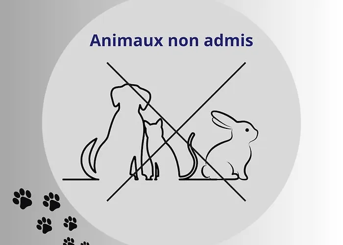 L'odyssee Familiale - 280m2